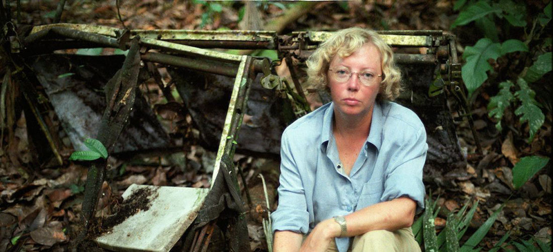 Illustration for article titled Esta mujer sobrevivió 10 días en la selva del Amazonas después de caer en picado desde 3.000 metros de altura